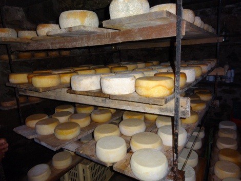 Making Cheese and Ricotta @ Cerasa Farm | FoodieGoesHealthy.com