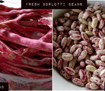Fresh Borlotti Beans | FoodieGoesHealthy.com