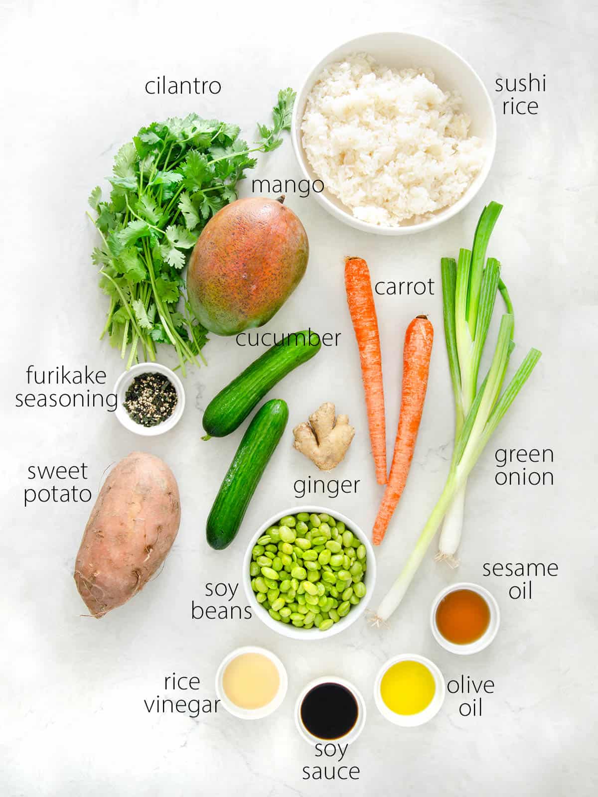 Ingredients needed to make a deconstructed sushi salad bowl.