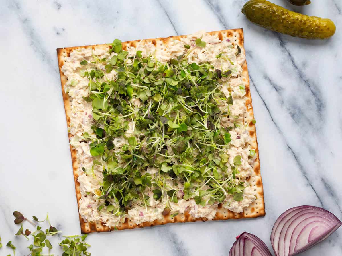 Tuna salad matzo with microgreens.