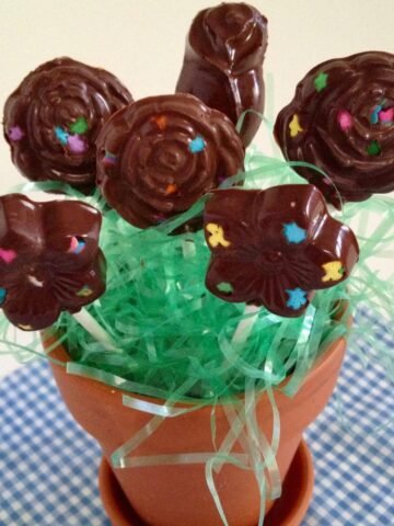Chocolate lollipops are shaped like flowers and displayed in a terracotta pot centerpiece.